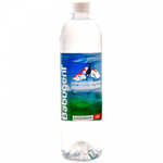 BabugenT (Бабугент) минеральная негазированная вода 0,65 л купить с быстрой доставкой - Napitkionline.ru