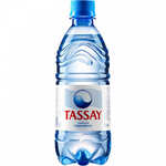 Tassay (Тассай) минеральная негазированная вода  0,5 л